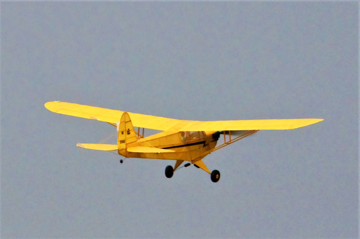 Piper Cub free flight model