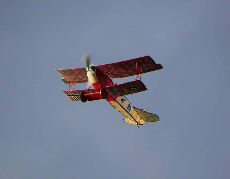 Free flight Fokker D.VII in the air